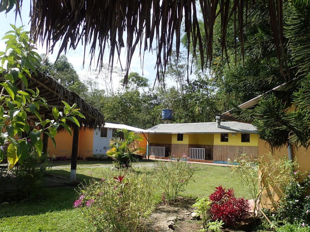 Hotel Hostal Henrry'S Mindo Exterior foto